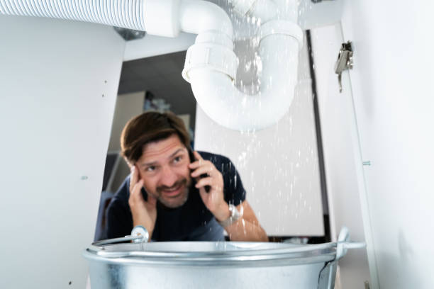 Best Leak Detection Services  in Harristown, IL