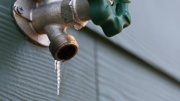 Best Water Leak Repair  in Harristown, IL