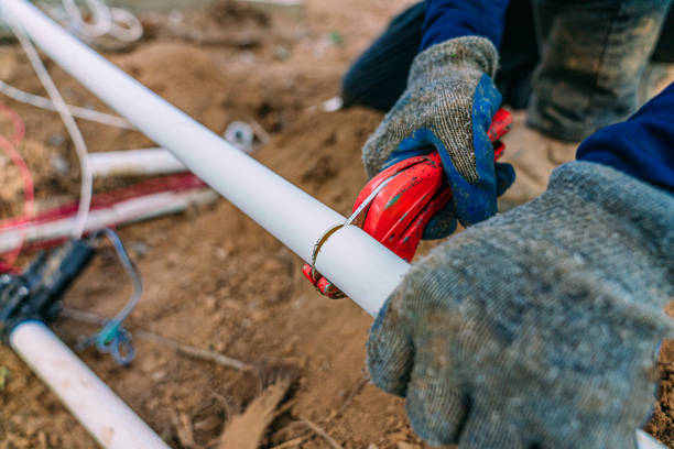 Best Clogged Drain Plumber  in Harristown, IL