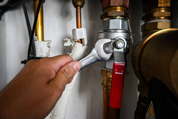 Best Plumbing Repair Near Me  in Harristown, IL